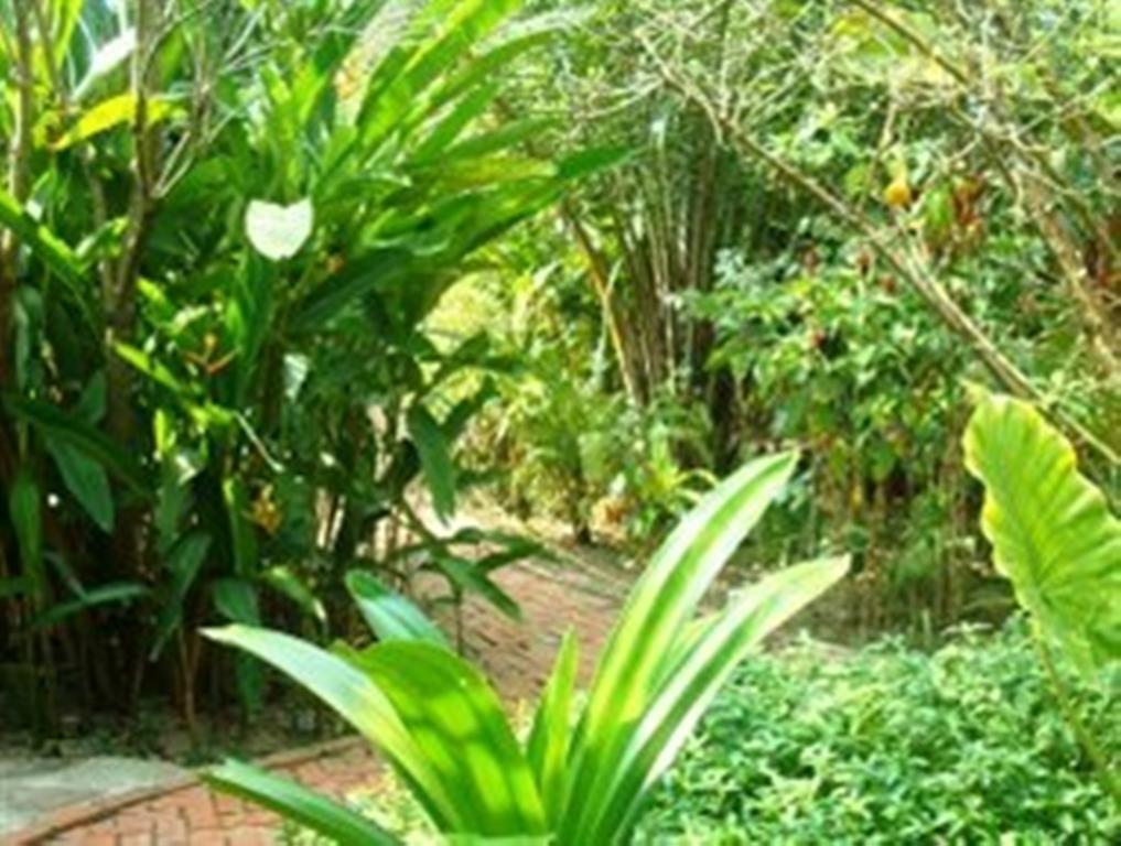 Hotel Botanica Kep Exterior foto